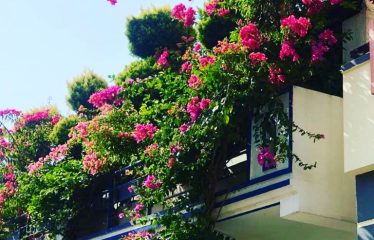 Individual 3 BHK House for sale in Akshayanagar