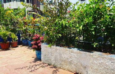 Individual 3 BHK House for sale in Akshayanagar